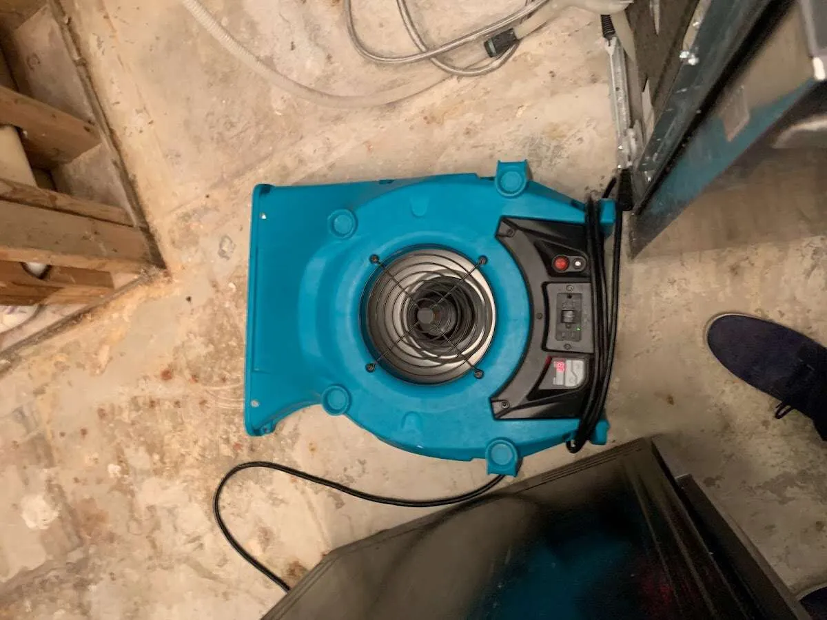 Air mover drying equipment for Mold Remediation & Removal in Berkley